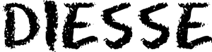 logo-nero-diesse